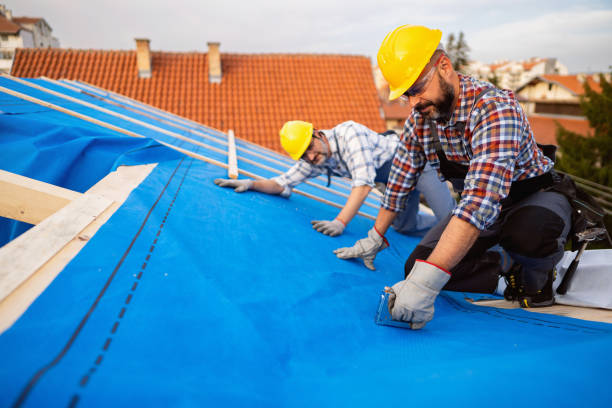 Best Roof Gutter Cleaning  in Hayden, ID